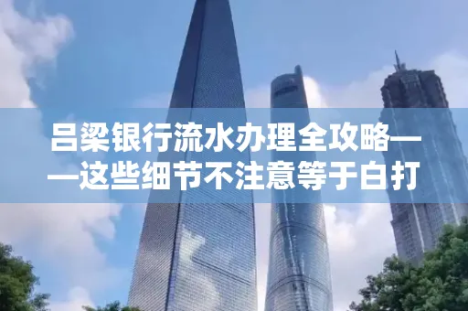 吕梁银行流水办理全攻略——这些细节不注意等于白打